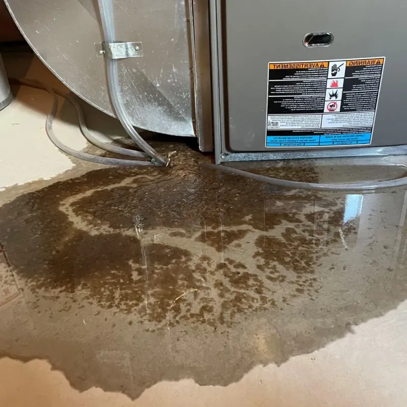 Pipe Burst and Leak Restoration in Lincoln County, OK
